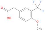 Benzeneacetic acid, 4-methoxy-3-(trifluoromethyl)-