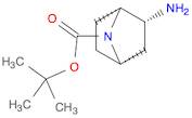 7-Azabicyclo[2.2.1]heptane-7-carboxylic acid, 2-amino-, 1,1-dimethylethyl ester, (1R,2R,4S)-rel-