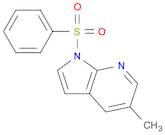 1H-Pyrrolo[2,3-b]pyridine, 5-methyl-1-(phenylsulfonyl)-