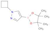 1H-Pyrazole, 1-cyclobutyl-4-(4,4,5,5-tetramethyl-1,3,2-dioxaborolan-2-yl)-