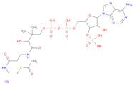 Coenzyme A, S-acetate, trisodium salt (9CI)