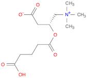 1-Propanaminium, 3-carboxy-2-(4-carboxy-1-oxobutoxy)-N,N,N-trimethyl-, inner salt, (2R)-