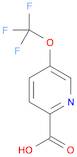 2-Pyridinecarboxylic acid, 5-(trifluoromethoxy)-