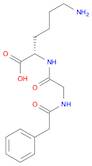 L-Lysine, N-(2-phenylacetyl)glycyl-