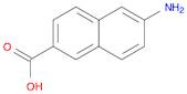 2-Naphthalenecarboxylic acid, 6-amino-