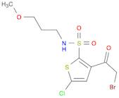 2-Thiophenesulfonamide, 3-(2-bromoacetyl)-5-chloro-N-(3-methoxypropyl)-