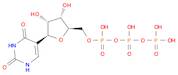 2,4(1H,3H)-Pyrimidinedione, 5-[5-O-[hydroxy[[hydroxy(phosphonooxy)phosphinyl]oxy]phosphinyl]-β-D-ribofuranosyl]-