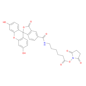 Spiro[isobenzofuran-1(3H),9'-[9H]xanthene]-ar-carboxamide, N-[6-[(2,5-dioxo-1-pyrrolidinyl)oxy]-6-oxohexyl]-3',6'-dihydroxy-3-oxo-
