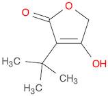 2(5H)-Furanone, 3-(1,1-dimethylethyl)-4-hydroxy-