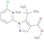 1H-Pyrazole-4-carboxylic acid, 1-(6-chloro-2-pyridinyl)-5-(1,1-dimethylethyl)-, methyl ester