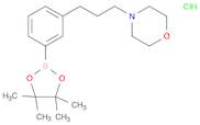 Morpholine, 4-[3-[3-(4,4,5,5-tetramethyl-1,3,2-dioxaborolan-2-yl)phenyl]propyl]-, hydrochloride (1:1)