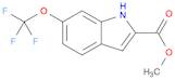 1H-Indole-2-carboxylic acid, 6-(trifluoromethoxy)-, methyl ester