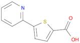 2-Thiophenecarboxylic acid, 5-(2-pyridinyl)-