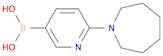 Boronic acid, B-[6-(hexahydro-1H-azepin-1-yl)-3-pyridinyl]-
