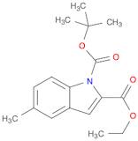 1H-Indole-1,2-dicarboxylic acid, 5-methyl-, 1-(1,1-dimethylethyl) 2-ethyl ester