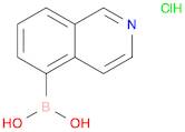 Boronic acid, B-5-isoquinolinyl-, hydrochloride (1:1)