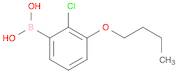 Boronic acid, B-(3-butoxy-2-chlorophenyl)-