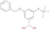 Boronic acid, B-[3-(phenylmethoxy)-5-(trifluoromethoxy)phenyl]-
