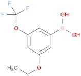 Boronic acid, B-[3-ethoxy-5-(trifluoromethoxy)phenyl]-