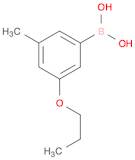 Boronic acid, B-(3-methyl-5-propoxyphenyl)-