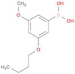 Boronic acid, B-(3-butoxy-5-methoxyphenyl)-