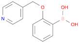Boronic acid, B-[2-(4-pyridinylmethoxy)phenyl]-