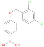 Boronic acid, B-[4-[(2,4-dichlorophenyl)methoxy]phenyl]-