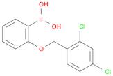 Boronic acid, B-[2-[(2,4-dichlorophenyl)methoxy]phenyl]-