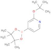Pyridine, 2-(1,1-dimethylethoxy)-4-(4,4,5,5-tetramethyl-1,3,2-dioxaborolan-2-yl)-