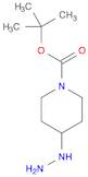 1-Piperidinecarboxylic acid, 4-hydrazinyl-, 1,1-dimethylethyl ester