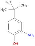Phenol, 2-amino-4-(1,1-dimethylethyl)-