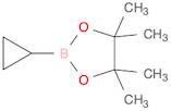 1,3,2-Dioxaborolane, 2-cyclopropyl-4,4,5,5-tetramethyl-