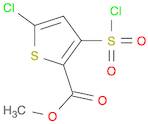 2-Thiophenecarboxylic acid, 5-chloro-3-(chlorosulfonyl)-, methyl ester
