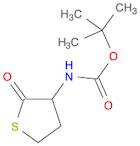 Carbamic acid, N-(tetrahydro-2-oxo-3-thienyl)-, 1,1-dimethylethyl ester