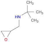 2-Oxiranemethanamine, N-(1,1-dimethylethyl)-