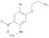 Benzenamine, 4-bromo-N-methyl-2-nitro-5-propoxy-