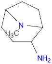 8-Azabicyclo[3.2.1]octan-2-amine, 8-methyl-