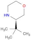 Morpholine, 3-(1,1-dimethylethyl)-, (3R)-