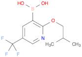 Boronic acid, B-[2-(2-methylpropoxy)-5-(trifluoromethyl)-3-pyridinyl]-