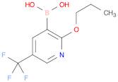 Boronic acid, B-[2-propoxy-5-(trifluoromethyl)-3-pyridinyl]-
