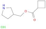 Cyclobutanecarboxylic acid, 3-pyrrolidinylmethyl ester, hydrochloride (1:1)