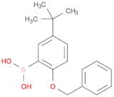 Boronic acid, B-[5-(1,1-dimethylethyl)-2-(phenylmethoxy)phenyl]-