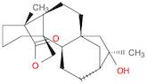 Kauran-18-oic acid, 16,20-dihydroxy-, δ-lactone, (4α)-