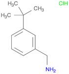 Benzenemethanamine, 3-(1,1-dimethylethyl)-, hydrochloride (1:1)