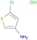 3-Thiophenamine, 5-chloro-, hydrochloride (1:1)