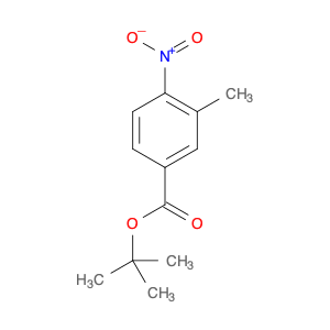 Benzoic acid, 3-methyl-4-nitro-, 1,1-dimethylethyl ester