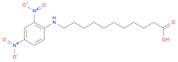 Undecanoic acid, 11-[(2,4-dinitrophenyl)amino]-