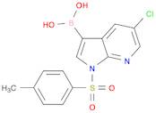 Boronic acid, B-[5-chloro-1-[(4-methylphenyl)sulfonyl]-1H-pyrrolo[2,3-b]pyridin-3-yl]-