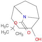 8-Azabicyclo[3.2.1]octane-8-carboxylic acid, 2-hydroxy-, 1,1-dimethylethyl ester