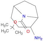 8-Azabicyclo[3.2.1]octane-8-carboxylic acid, 2-amino-, 1,1-dimethylethyl ester